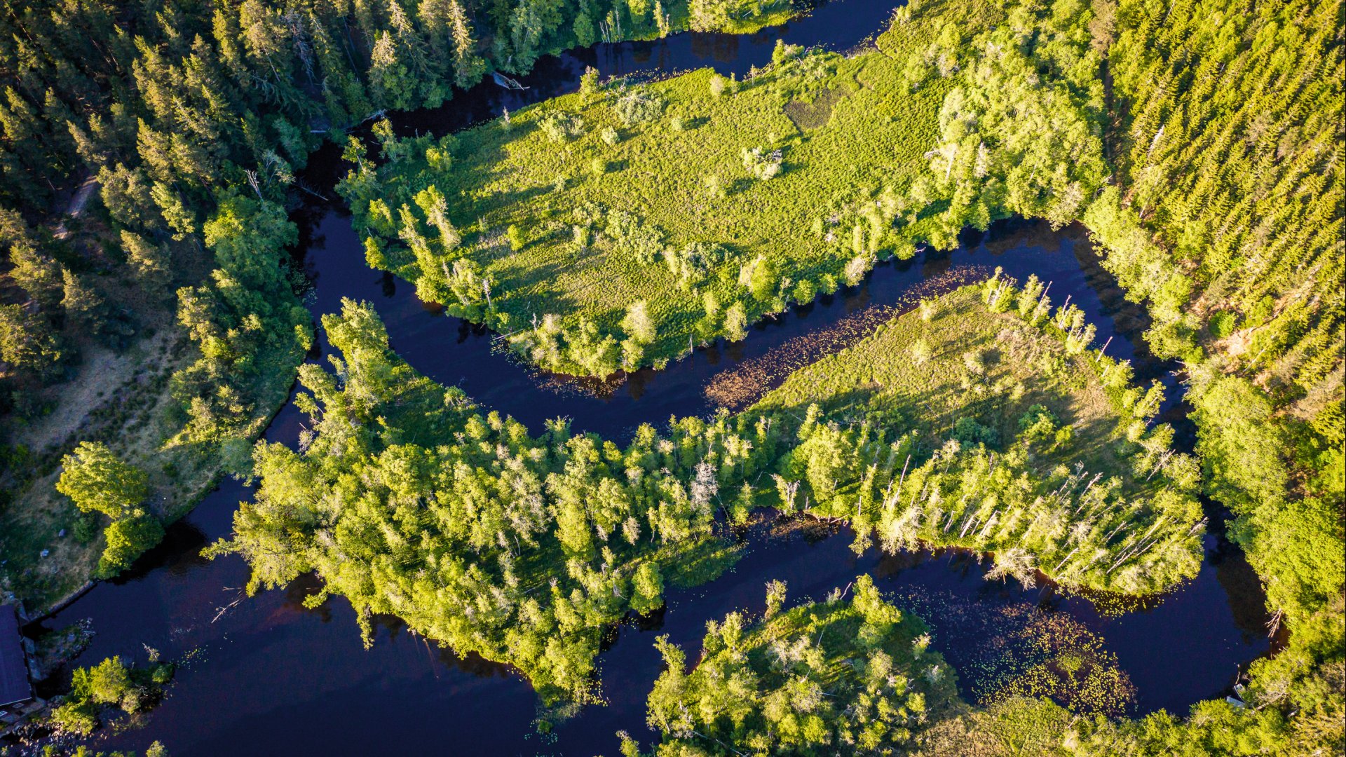 Scandtrack Kanutour Schweden DJI0293