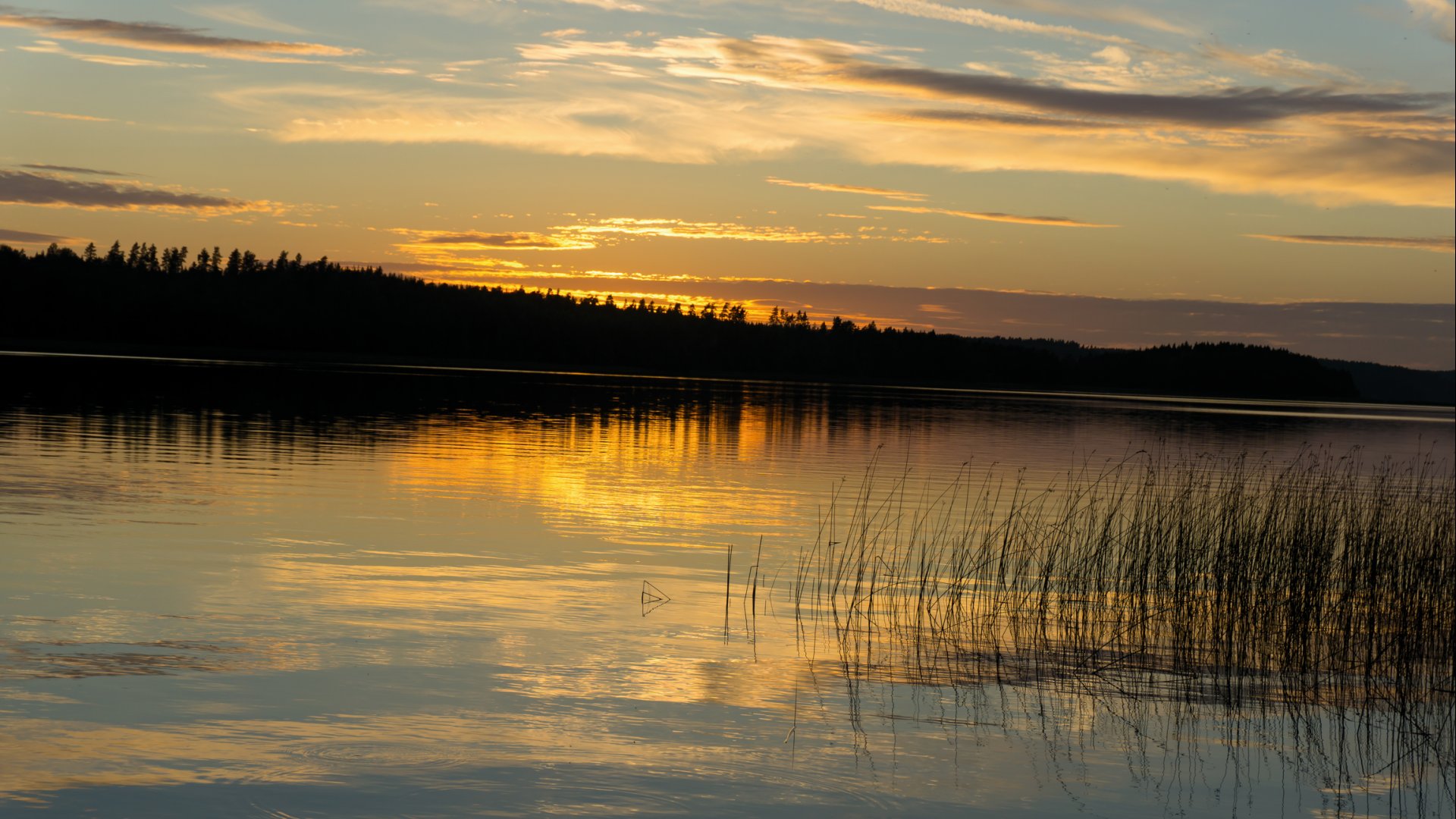 Scandtrack Kanutour Schweden DSC01613
