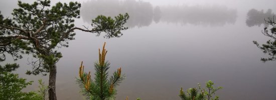 Scandtrack Kanutour Schweden 11-1