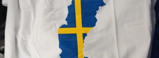 Scandtrack Kanutour Schweden inbound1631999779347635878