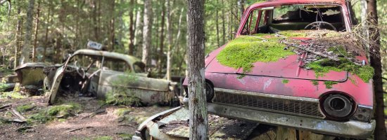 Scandtrack Kanutour Schweden 20260816144531