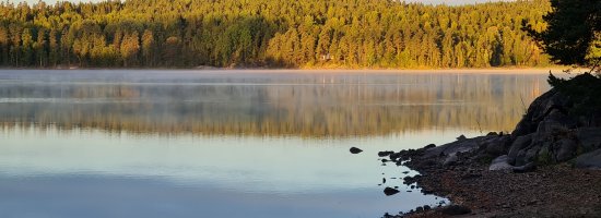 Scandtrack Kanutour Schweden 1000186832