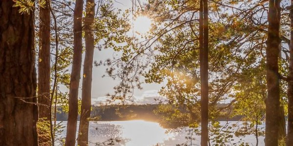  © Strohhut Pictures