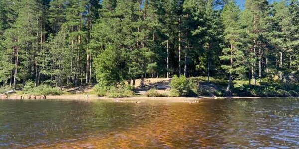 Scandtrack Kanutour Schweden 61849164213566684065051738190832799285030828njpg