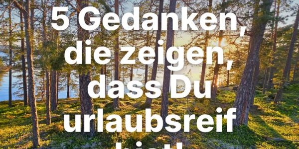 Scandtrack Kanutour Schweden 631816217185082971980731787060633567677122484njp