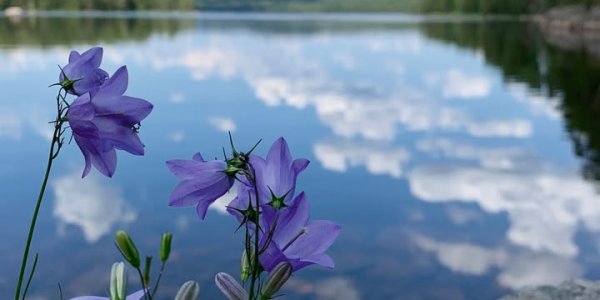 Scandtrack Kanutour Schweden 63417492913781732843546855449742144970173535njpg