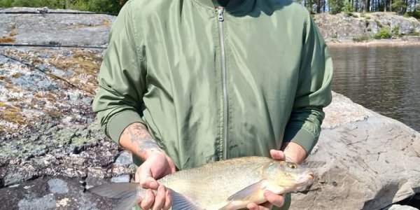 Scandtrack Kanutour Schweden 64223883613905975097789296426764025915224992njpg