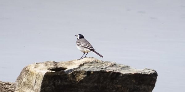 Scandtrack Kanutour Schweden 65506488914093099379076865389190645800080296njpg