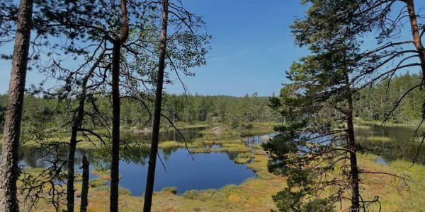 Scandtrack Kanutour Schweden 753205399185440248910731781710602247686924952njp