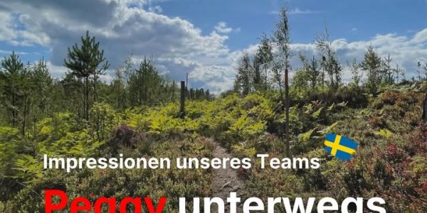 Scandtrack Kanutour Schweden 787044913185533351150731787611149246495946826njp