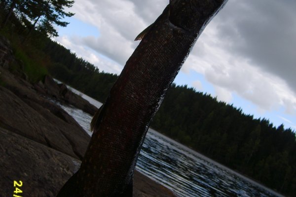 <Digimax S600 / Kenox S600 / Digimax Cyber 630> © COPYRIGHT, 2006