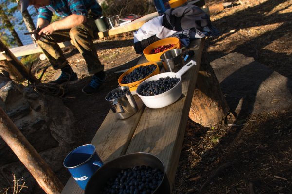  © 2015, Lisa Birkigt, all rights reserved