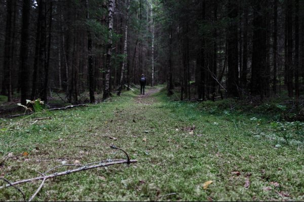  © 2016 Arne Kusserow