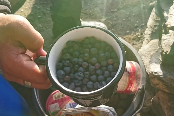 Scandtrack Kanutour Schweden 134