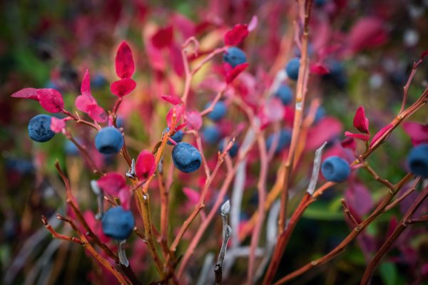 Scandtrack Kanutour Schweden DSC03560Large