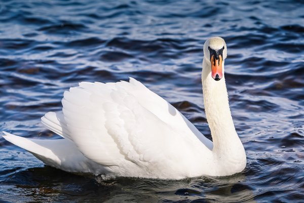 Scandtrack Kanutour Schweden unbenannt-DSC06209