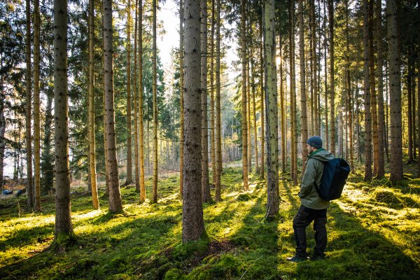 Scandtrack Kanutour Schweden -augustdellert-theediblecountry-7569-7