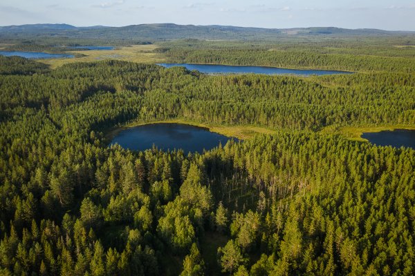 Scandtrack Kanutour Schweden -DJI0103