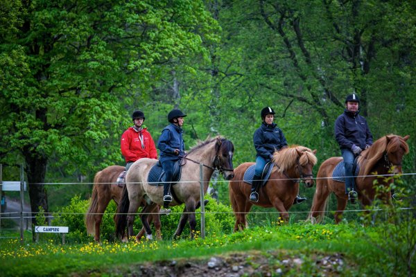 Scandtrack Kanutour Schweden -4866