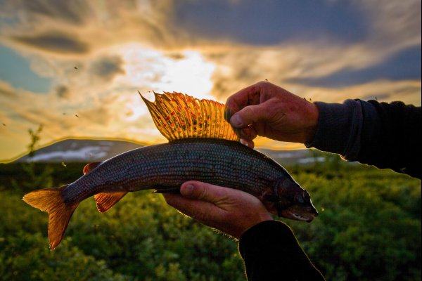 Scandtrack Kanutour Schweden anderstedeholm-fishing-5442