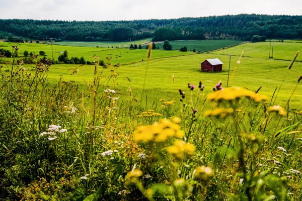 Scandtrack Kanutour Schweden helenawahlman-agriculturalland-76