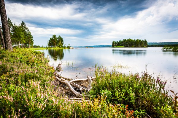 Scandtrack Kanutour Schweden 3H5A4391