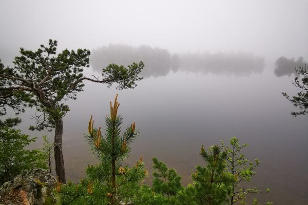 Scandtrack Kanutour Schweden 11-1