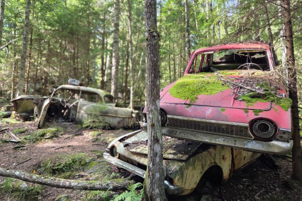 Scandtrack Kanutour Schweden 20260816144531