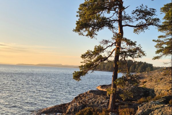 Scandtrack Kanutour Schweden 20260523210657