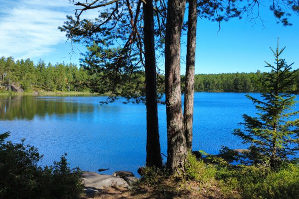 Scandtrack Kanutour Schweden djifly20260728105008151785228643234photooptimize