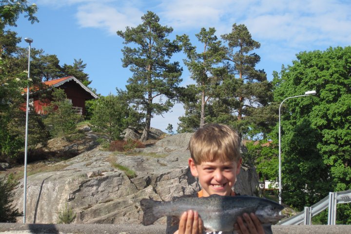 Scandtrack Kanutour Schweden Schweden2013Teil224050206043
