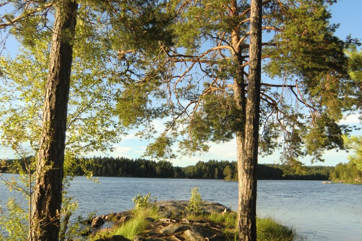 Scandtrack Kanutour Schweden CIMG8786