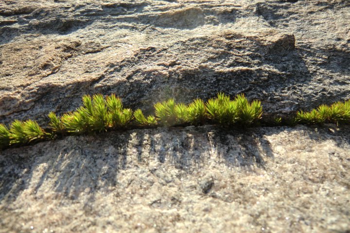 Scandtrack Kanutour Schweden CIMG8868