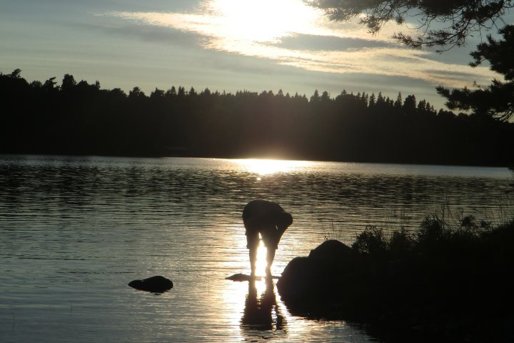 Scandtrack Kanutour Schweden CIMG8886