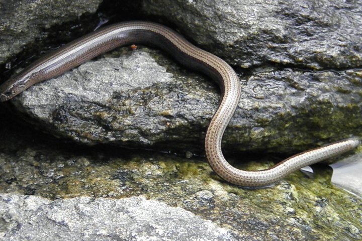 Scandtrack Kanutour Schweden P7183055