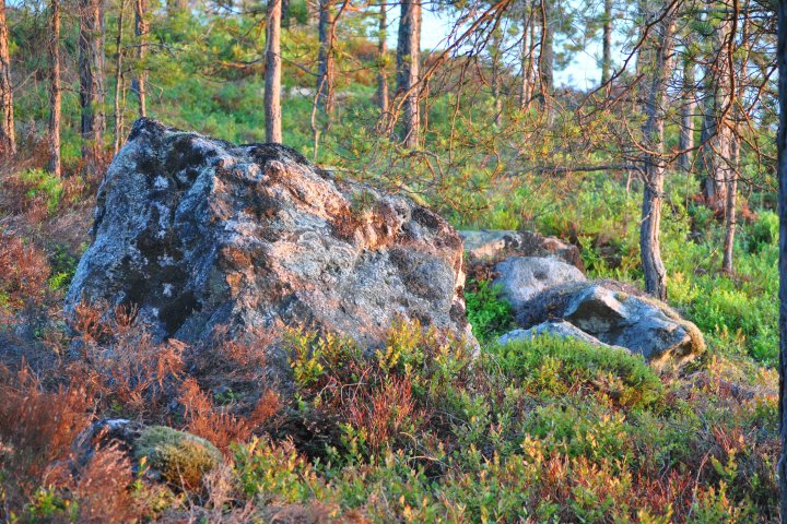Scandtrack Kanutour Schweden 1DSC0107