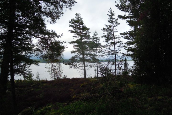 Scandtrack Kanutour Schweden DSCN2786