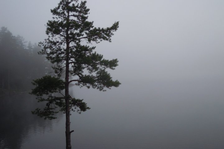 Scandtrack Kanutour Schweden Nebel