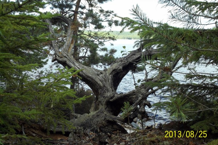 Scandtrack Kanutour Schweden 201308HaraldSteinke08