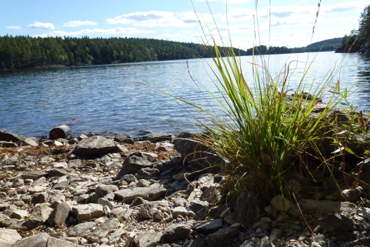 Scandtrack Kanutour Schweden 20130825Schweden21
