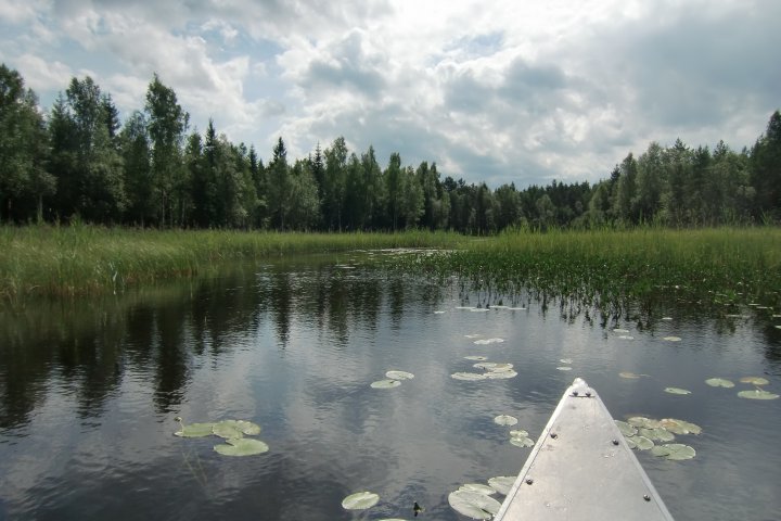 Scandtrack Kanutour Schweden CIMG3560