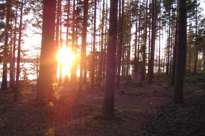Scandtrack Kanutour Schweden IMG5759
