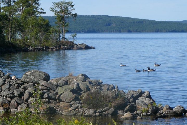 Scandtrack Kanutour Schweden EntenaufFamilienausflug