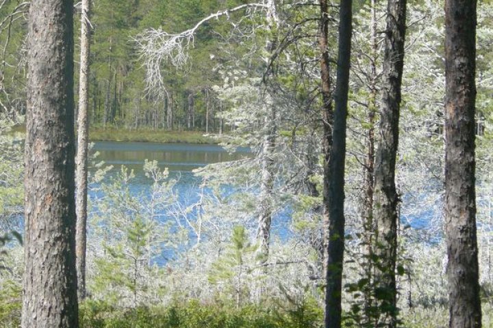 Scandtrack Kanutour Schweden WeieBumeblauerSee