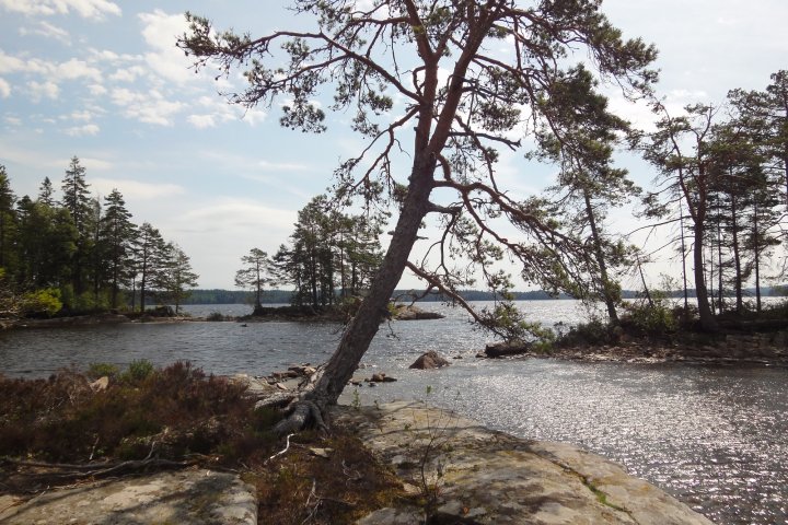 Scandtrack Kanutour Schweden DSC08198