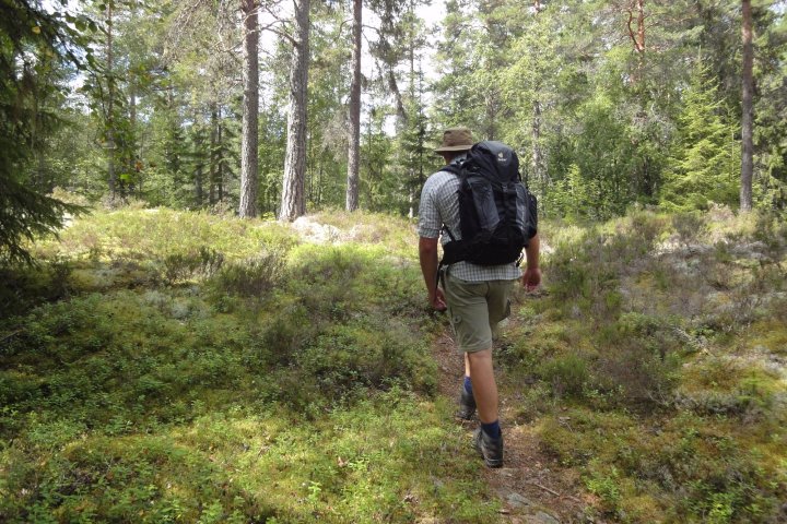 Scandtrack Kanutour Schweden DSC08375