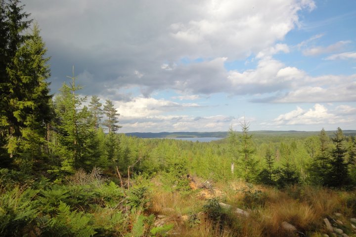Scandtrack Kanutour Schweden DSC08517