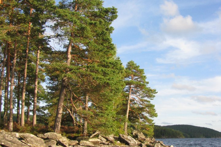 Scandtrack Kanutour Schweden IMG1142
