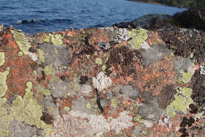 Scandtrack Kanutour Schweden 9FarbenderschwedischenNaturJPG