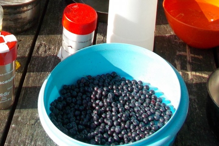 Scandtrack Kanutour Schweden 36SchsselmitBlaubeerenJPG